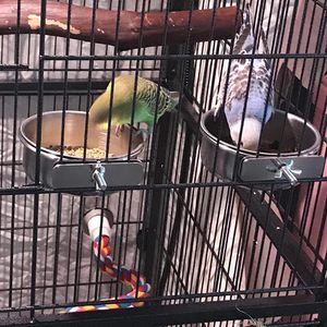 Stainless Steel Portable Removable Hanging Kennel Pure Silver Birds Coop Cup Hanger with Eco-Friendly Water Feeder Bowl for Pets - Product Image 4