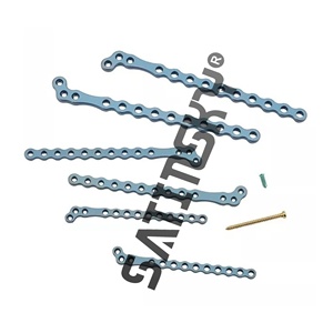 Placa de Titanio con Bloqueo ALPS L, Instrumento Ortopédico Veterinario Manual para Artroscopia - Product Image 1
