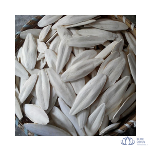 [VENTE CHAUDE] Os de Seiche Séché BLUE LOTUS – Diverses Tailles, Riche en Calcium, Friandise Nutritive pour Oiseaux – Fournisseur de Da Nang, Vietnam - Product Image 1