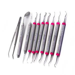 Ensemble d'instruments d'hygiène dentaire SURGINEXA, 10 pièces, kit de détartreur en acier inoxydable, outils professionnels de soins bucco-dentaires, certifiés CE, chirurgicaux - Product Image 2