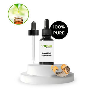 Aceite Esencial de Abedul Dulce Orgánico - Betula Lenta - 100% Puro y Natural, Destilado al Vapor - Product Image 2