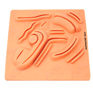 Kit de Sutura para Estudiantes, Kit de Práctica de Sutura OEM, Instrumento Médico, Kit de Entrenamiento de Sutura Quirúrgica para Estudiantes de Medicina - Product Image 2