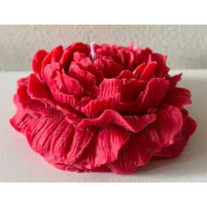 Bougies chauffe-plat modernes en cire de soja PEONY, faites à la main, parfumées pour Noël, Pâques, Anniversaire, Saint-Valentin, Diwali, Bars et Fêtes - Product Image 2
