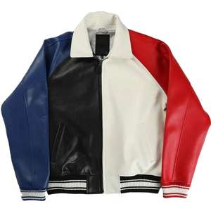 Chaqueta Varsity Personalizada en Oferta, Ligera, de Manga Larga, con Cuello Alto y Logotipo Bordado en la Parte Delantera, Ropa Urbana de Moda - Product Image 1