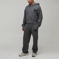 Ensemble de survêtement personnalisé pour homme en polyester et coton, sweat à capuche décontracté et pantalon de jogging, logo DTF personnalisé, tenue assortie deux pièces