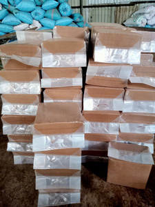 100% Natural Organic Coco <b>Peat</b> Block For Seed Starting And Plant Growth - Product Image 3