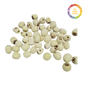 Budget Friendly Dried Lotus <b>Seeds</b> Bulk Sale Vietnam Origin Premium Quality Factory Direct Wholesale Price - Product Image 1