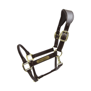 Premium Wholesale Popular Luxurious Elegant Perfect Adjustable Fashionable Padded Leather Horse <b>Halter</b> - Product Image 4