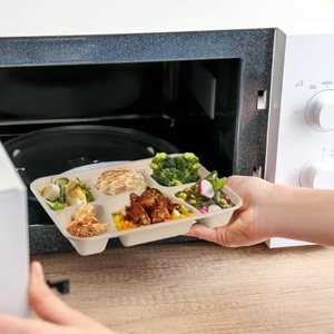 Plateau de service durable en bagasse pour l'emballage écologique et la livraison de repas – Assiettes à 6 compartiments pour riz, nouilles et desserts - Product Image 1