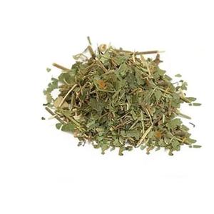 Sadabahar Natural, Materia Prima Herbal para Productos Ayurvédicos, Extractos Botánicos y Formulaciones Tradicionales para el Bienestar - Product Image 3