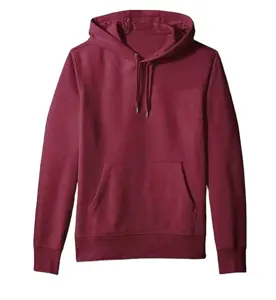Özel erkekler baskı logosu yüksek kalite Hoodies Sweatshirt Nasa için ağır ağırlık 100% pamuk boy Hoodies Unisex