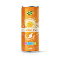 Premium natuurlijk gearomatiseerde bruisende druiven- en watermeloen sap frisdrank 250ml fles |   Verfrissende drank |   Vietnamese exporteur