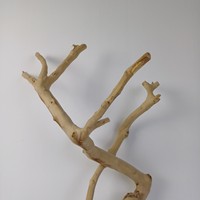 Articles Phares 2026 : Perchoir et Support de Jeu en Bois Naturel de Java pour Perroquets et Oiseaux, Fabriqué au Vietnam, Vente en Gros