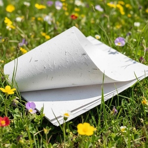 Feuilles de papier A4 plantables faites à la main de style vintage, texturées, à bords festonnés, couleur et logo personnalisés pour invitations, lettres, journaux - Product Image 1