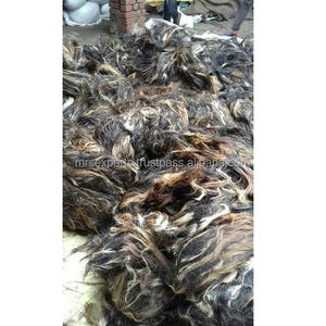 Seco negro, blanco y marrón natural Búfalo, buey y caballo pelos de la cola principal 6-20 pulgadas arriba a precios al por mayor Ágata por M R S EXPORTS - Product Image 1