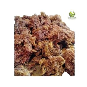 สาหร่ายทะเลไอริชธรรมชาติ สาหร่ายแห้งปรุงรส Eucheuma Cottonii Nori วัตถุดิบเกรดส่งออก บรรจุภัณฑ์ขนาดใหญ่ อายุการเก็บรักษา 12 เดือน - Product Image 3