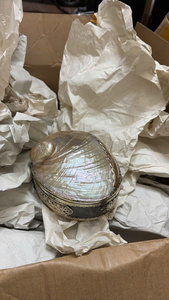 Vintage Oval <b>Abalone</b> <b>Shell</b> Jewelry Box | Natural Iridescent Scallop Case | Luxury Rainbow Shimmer Decor & Keepsake Gift - Product Image 3