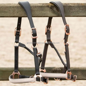 สายคล้องคอหนังม้าบุนวมแบบแฮนด์เมดดีไซน์คลาสสิกพร้อมกุหลาบสีทองหัวเข็มขัดสองชั้นแบบปรับได้สำหรับม้า - Product Image 1