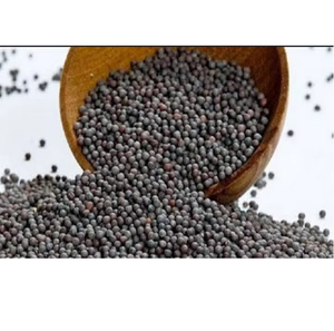 Semillas de Mostaza de Calidad de Exportación, Ingrediente Natural Premium para Cocina, Procesamiento de Alimentos y Suministro Comercial - Product Image 1