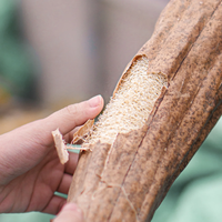 Luffa entière séchée brute pour découpe sur mesure et fabrication d'éponges |   Luffa naturelle cultivée à la maison