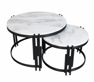 Juego de Mesa de Centro de Acero Inoxidable para Sala de Estar, Diseño Moderno, Personalizado de Fábrica, Muebles para el Hogar, Artesanía Unicornio UNF-9027 - Product Image 2