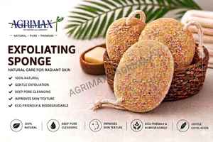 Organic Soft Exfoliating Bath Sponge for Gentle Body Cleansing Smooth Skin Care and Daily Shower Comfort - Product Image 1