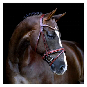 Brida de Cuero Marrón Duradera y Cómoda Rub International, Impresionante Banda Frontal de Cristal Color Ámbar Champán, Modelo 7860B para Caballo - Product Image 2