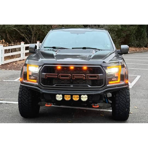 Ford F-150 Raptor 2018 - Product Image 1