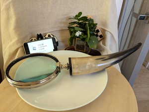 Lupa grande con mango de cuerno de vaca pulido, marco cromado, lupa de lectura de mano, decoración de escritorio vintage, accesorio de oficina - Product Image 1