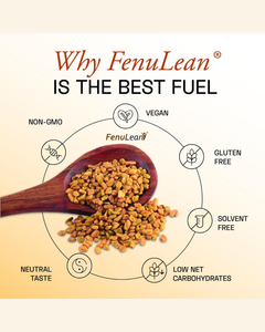 Fenulean Fibre Flex Powder, Suplemento de Fibra Natural para la Salud Digestiva, Apoyo Intestinal y Bienestar Diario, Suministro a Granel - Product Image 4