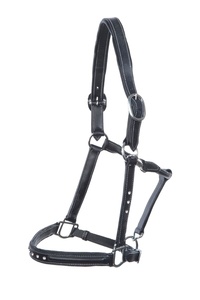 Licou en cuir anglais en nylon avec matériel de montage en laiton toutes tailles pour cheval de selle anglais et occidental - Product Image 2