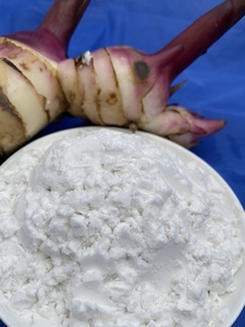 Fábrica de Venta de Almidón de Arrowroot Orgánico de la Mejor Calidad 2020 con el Mejor Precio en Vietnam - Product Image 3