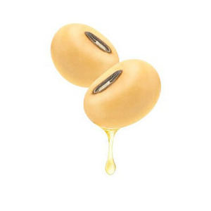 <b>Soybean</b> Oil 100% Vegetable Oil Made From <b>Soybeans</b> Good Quality Pure Yellow Color - Product Image 1