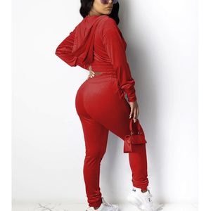Women <b>Red</b> Cropped Zipper Sweatshirt Set Long Sleeve Knitted Joggers Casual Summer Wear Breathable Solid Color Hooded Full Sleeve - Product Image 2