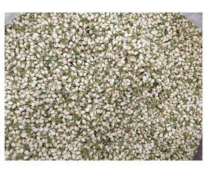 Flores de Jazmín Secas de Calidad de Exportación para la Elaboración de Té - Ingrediente Floral Aromático para Tiendas de Mezclas de Té - Product Image 6
