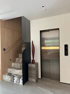 Ev Asansörü Hidrolik Ev İçi Asansör Fiyatı 2/3/4 Katlı İç Mekan Dış Mekan Küçük Ev Asansörü 2 Kişilik - Product Image 4