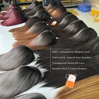 Perruques de cheveux vietnamiens bruts de la meilleure qualité Perruques en cheveux humains sans colle Full Lace Soft Perruques en cheveux humains vierges à cuticules alignées Extensions de cheveux