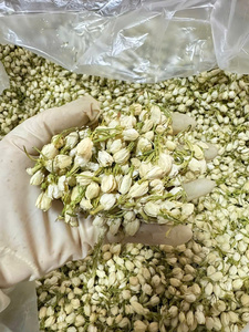 Vietnam <b>Dried</b> Jasmine Buds Natural Flower Material for Herbal Tea Food Decoration and Craft Wholesale Export - Product Image 2