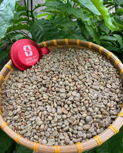 Spécialité Cau Dat Vietnam 100% grains de café vert Arabica naturel de l'usine du Viet Nam - Product Image 6