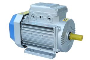 Motor Eléctrico de Inducción de CA Monofásico de 220 V, 50/60 Hz, Núcleo de Cobre, Hierro Fundido, con Clasificación IP55 - Product Image 6