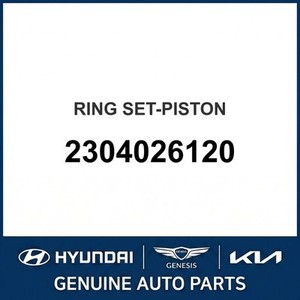 Nouveaux pistons et segments Accent 2304026120 - Product Image 1