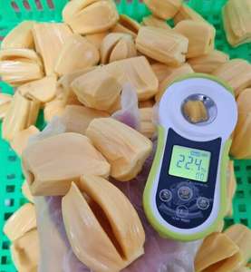 Jackfruit mûr surgelé IQF, fruit tropical sucré, export en vrac - Product Image 2