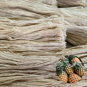 Best Price Vietnam Factory Export Quality Best Selling Sustainable <b>Pineapple</b> Leaf Fiber Packed in Bales - Product Image 1