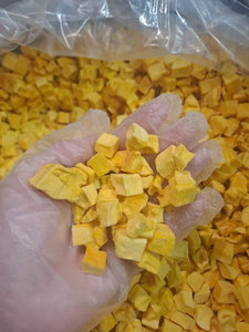 Mangues lyophilisées en blocs FD, directement de l'usine du Vietnam, 100% naturelles, sucrées et croustillantes, sans conservateurs, emballage en vrac, OEM ODM - Product Image 1