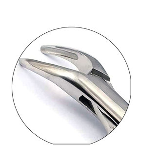 Nuevos instrumentos de extracción dental de grado premium para fragmentos y raíces pequeñas, superiores e inferiores. - Product Image 3