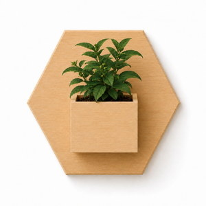 Eco-Friendly Self-Adhesive Wooden <b>Wall</b>-Mounted Hexagon Planter for Air Plants & Succulents Home <b>Decor</b> Gift Set - Product Image 5