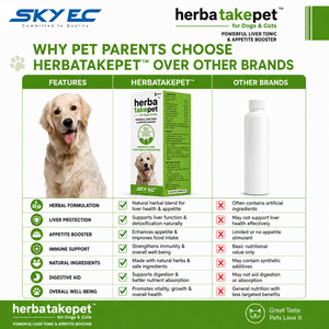 Herbatake Jarabe para Mascotas 100ml, Refuerzo del Apetito y Soporte Hepático para Perros/Gatos/Caballos - Extracto Herbal de Alpinia Galanga Foeniculum - Product Image 5