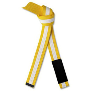 Wholesale High Quality Customized Logo Karate <b>Belts</b> Custom Color Cotton Martial Arts Wholesale High Quality <b>Belt</b> Unisex New Logo - Product Image 6