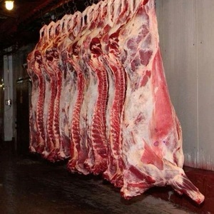 Carcasse de bœuf congelée avec des propriétés de conservation pratiques pour les distributeurs de viande, les restaurants et les besoins en matière d'approvisionnement pour les supermarchés - Product Image 4