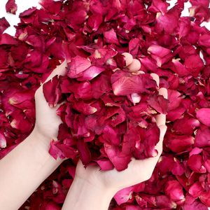 กลีบกุหลาบแห้งธรรมชาติ 99 โกลด์ ดาต้า 100% สำหรับงานแต่งงาน ชงชา อาบน้ำ เครื่องสำอาง และทำสบู่ - เป็นมิตรกับสิ่งแวดล้อม ใช้งานได้ยาวนาน ทำเองได้ - Product Image 2